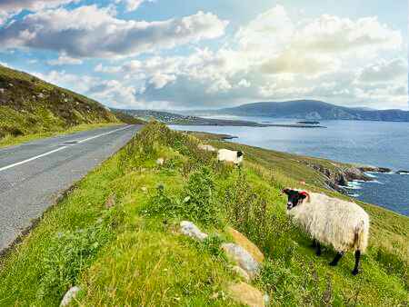 Scenic view of Ireland’s Wild Atlantic Way coastal route with cliffs, ocean views, and winding roads.